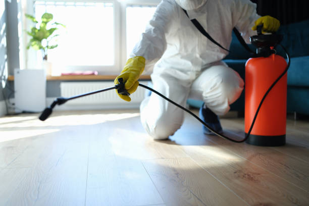 Reliable Biohazard Cleanup contractor in Hillside, NJ by Trauma Clean Pros